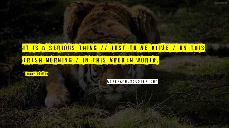 Mary Oliver Quotes: It is a serious thing // just to be alive / on this fresh morning / in this broken world.