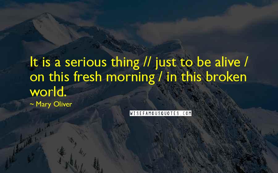 Mary Oliver Quotes: It is a serious thing // just to be alive / on this fresh morning / in this broken world.