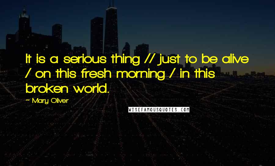 Mary Oliver Quotes: It is a serious thing // just to be alive / on this fresh morning / in this broken world.