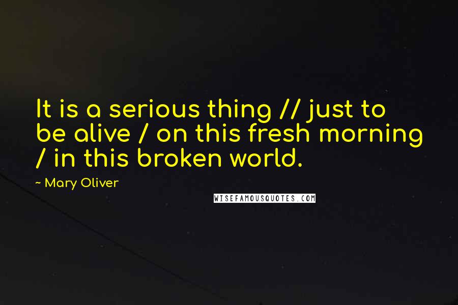 Mary Oliver Quotes: It is a serious thing // just to be alive / on this fresh morning / in this broken world.