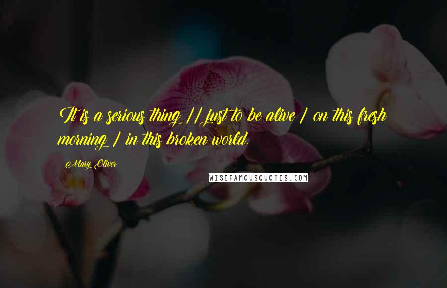 Mary Oliver Quotes: It is a serious thing // just to be alive / on this fresh morning / in this broken world.