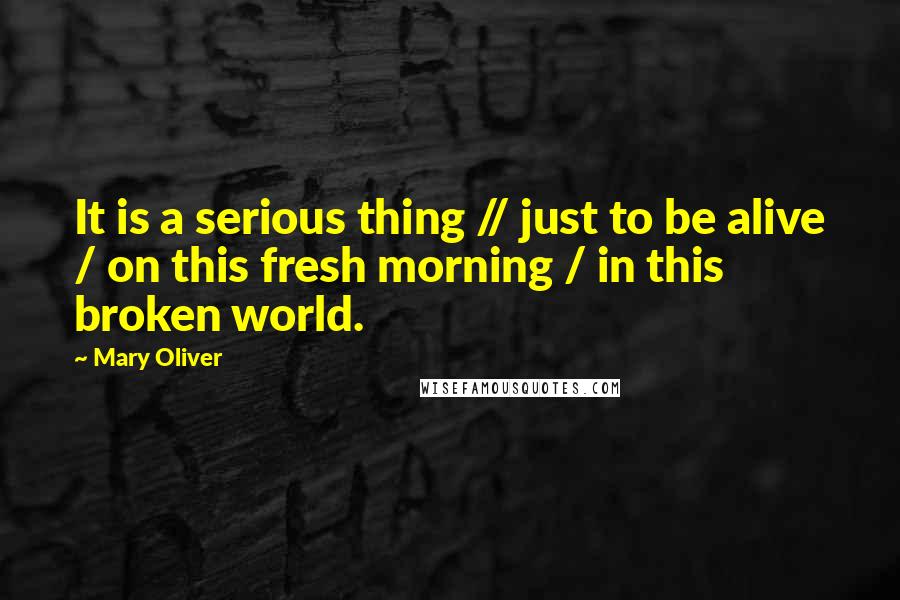 Mary Oliver Quotes: It is a serious thing // just to be alive / on this fresh morning / in this broken world.