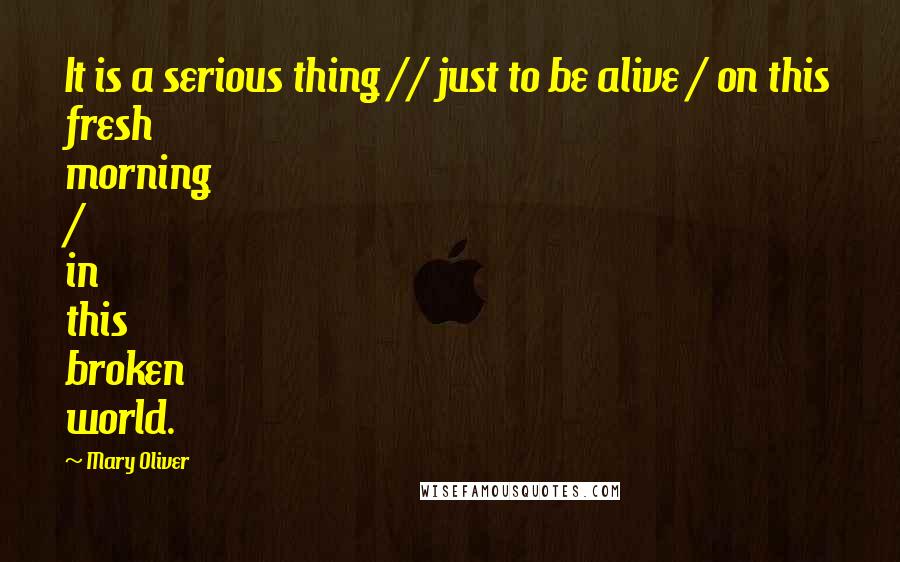 Mary Oliver Quotes: It is a serious thing // just to be alive / on this fresh morning / in this broken world.