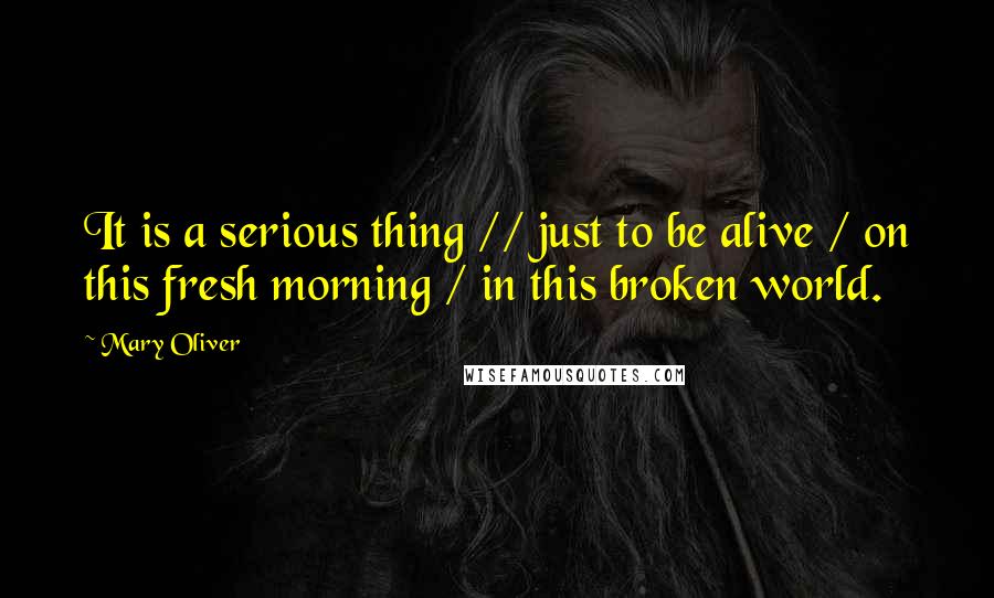 Mary Oliver Quotes: It is a serious thing // just to be alive / on this fresh morning / in this broken world.
