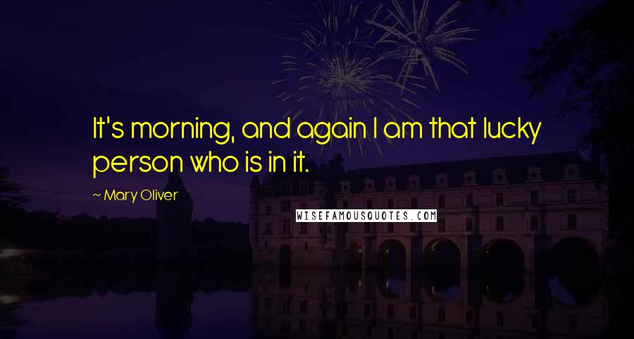 Mary Oliver Quotes: It's morning, and again I am that lucky person who is in it.