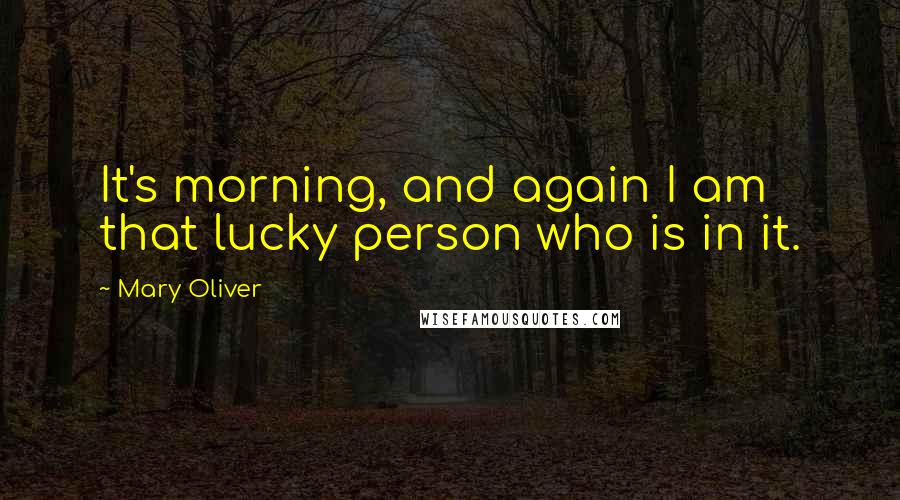 Mary Oliver Quotes: It's morning, and again I am that lucky person who is in it.