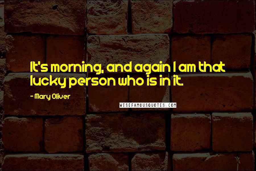 Mary Oliver Quotes: It's morning, and again I am that lucky person who is in it.