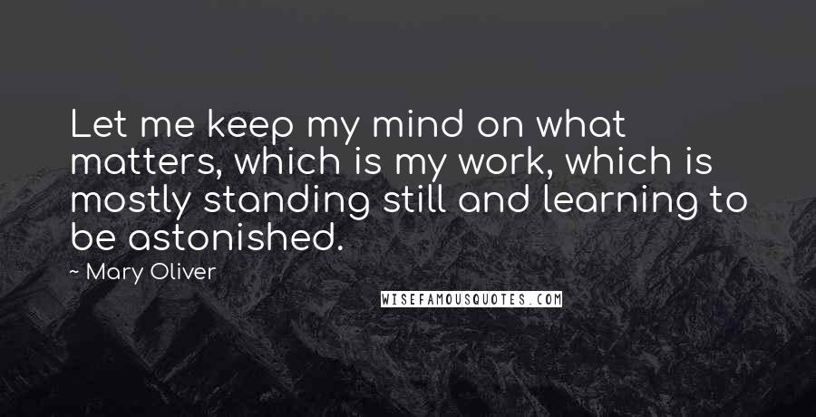 Mary Oliver Quotes: Let me keep my mind on what matters, which is my work, which is mostly standing still and learning to be astonished.