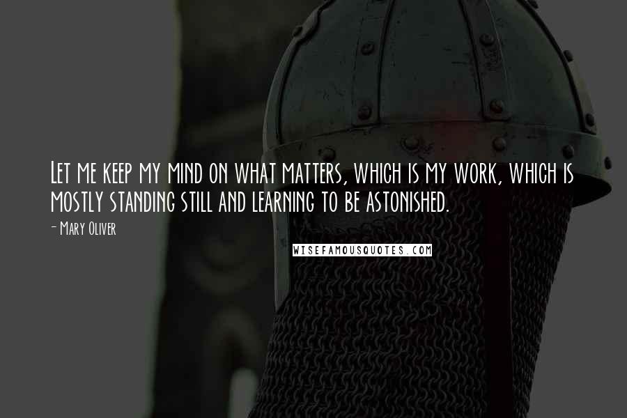 Mary Oliver Quotes: Let me keep my mind on what matters, which is my work, which is mostly standing still and learning to be astonished.