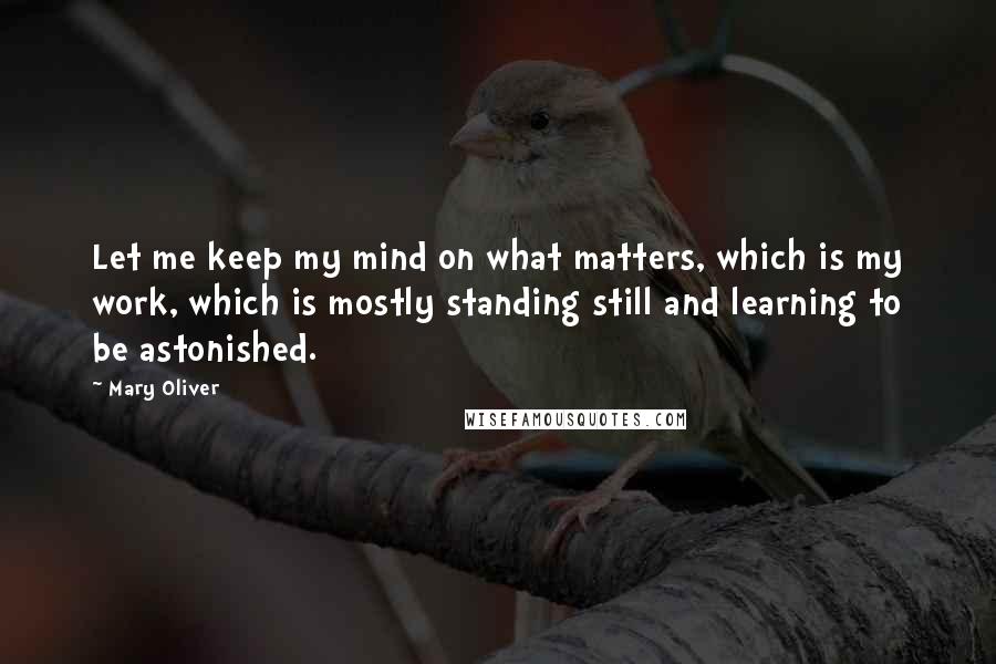 Mary Oliver Quotes: Let me keep my mind on what matters, which is my work, which is mostly standing still and learning to be astonished.