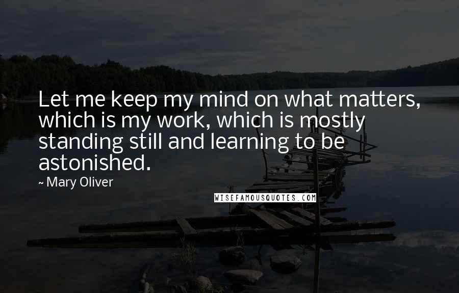 Mary Oliver Quotes: Let me keep my mind on what matters, which is my work, which is mostly standing still and learning to be astonished.