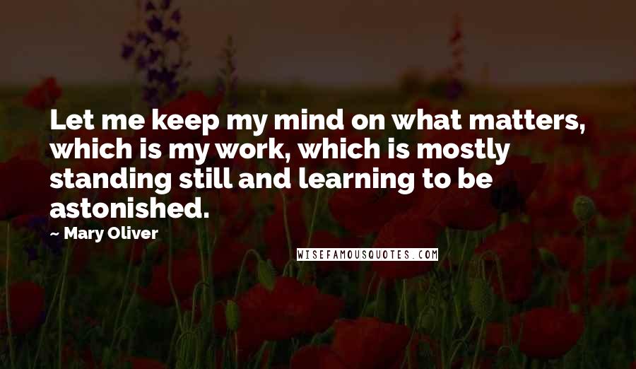 Mary Oliver Quotes: Let me keep my mind on what matters, which is my work, which is mostly standing still and learning to be astonished.