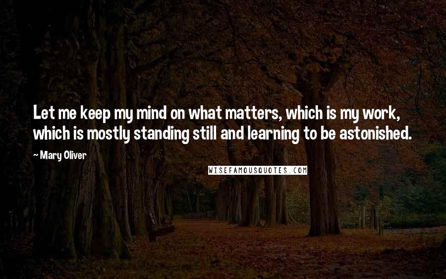 Mary Oliver Quotes: Let me keep my mind on what matters, which is my work, which is mostly standing still and learning to be astonished.