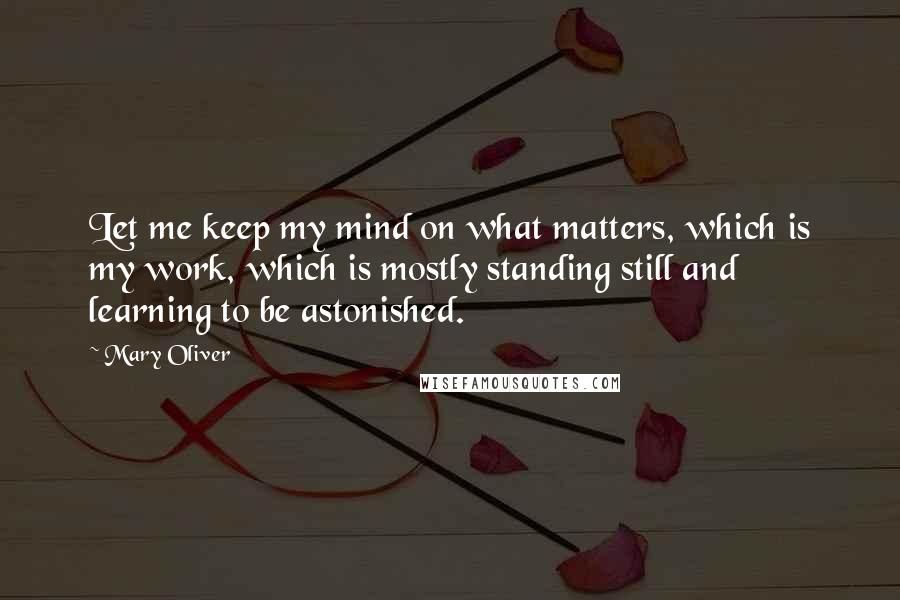Mary Oliver Quotes: Let me keep my mind on what matters, which is my work, which is mostly standing still and learning to be astonished.