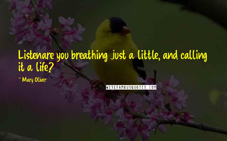 Mary Oliver Quotes: Listenare you breathing just a little, and calling it a life?