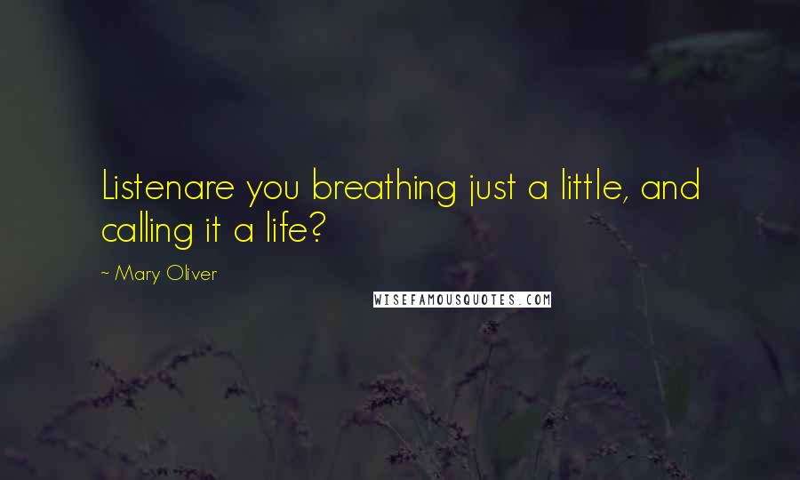 Mary Oliver Quotes: Listenare you breathing just a little, and calling it a life?