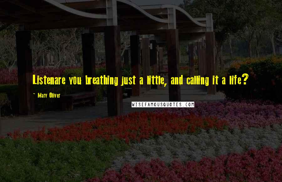 Mary Oliver Quotes: Listenare you breathing just a little, and calling it a life?