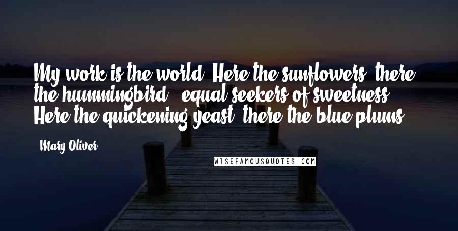 Mary Oliver Quotes: My work is the world. Here the sunflowers, there the hummingbird - equal seekers of sweetness. Here the quickening yeast; there the blue plums ...