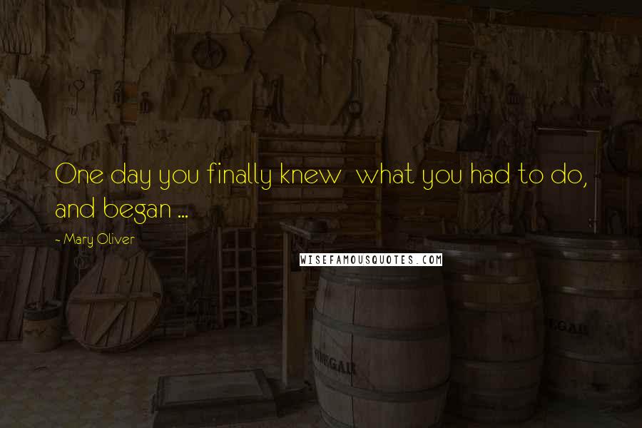 Mary Oliver Quotes: One day you finally knew what you had to do, and began ...