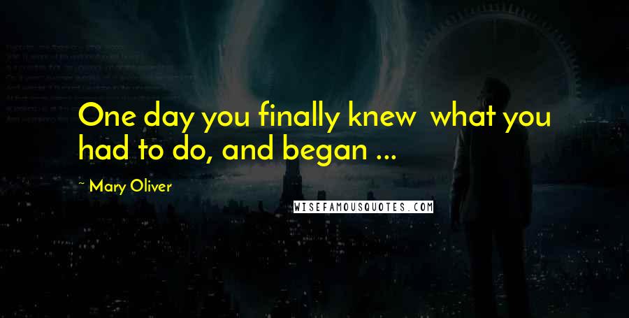 Mary Oliver Quotes: One day you finally knew what you had to do, and began ...