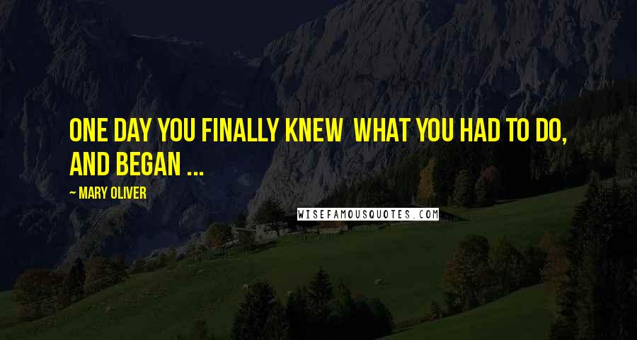 Mary Oliver Quotes: One day you finally knew what you had to do, and began ...