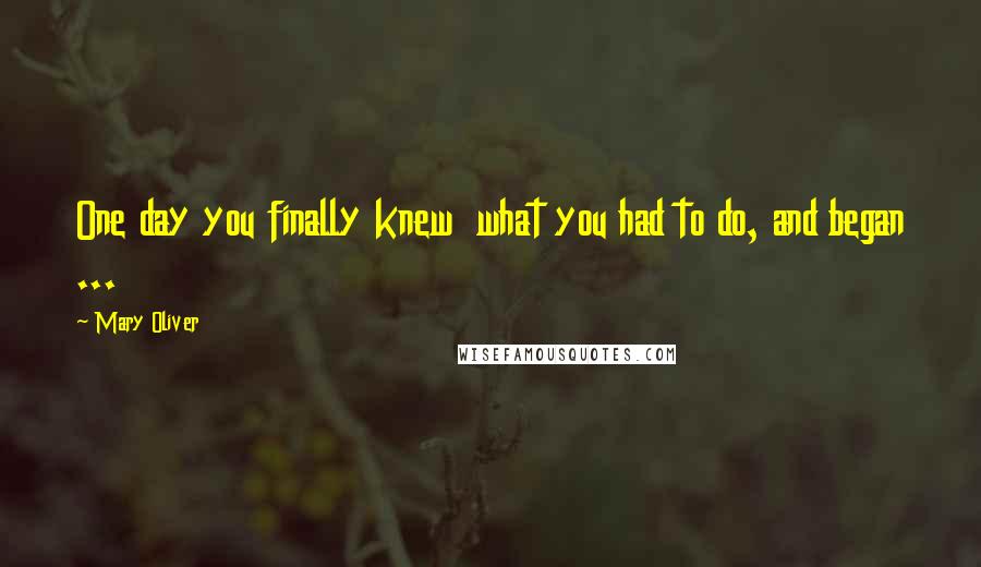 Mary Oliver Quotes: One day you finally knew what you had to do, and began ...