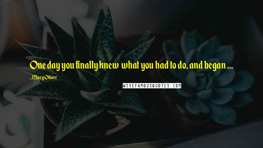 Mary Oliver Quotes: One day you finally knew what you had to do, and began ...