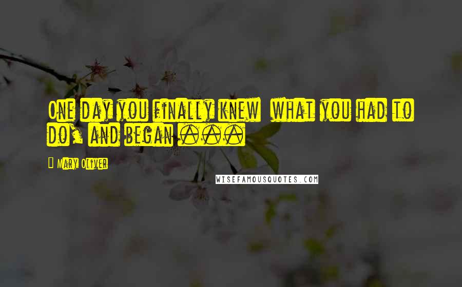 Mary Oliver Quotes: One day you finally knew what you had to do, and began ...