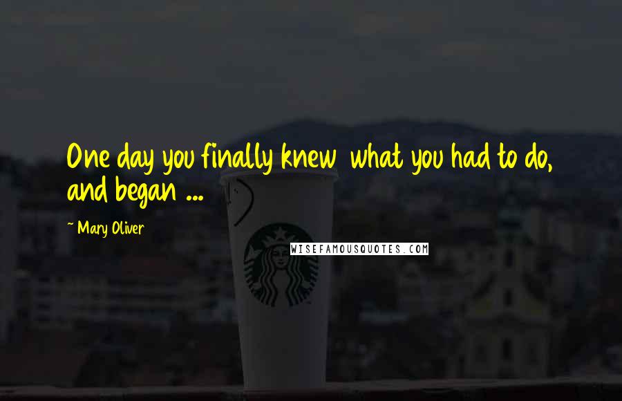 Mary Oliver Quotes: One day you finally knew what you had to do, and began ...
