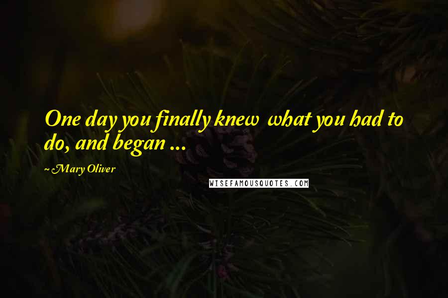 Mary Oliver Quotes: One day you finally knew what you had to do, and began ...