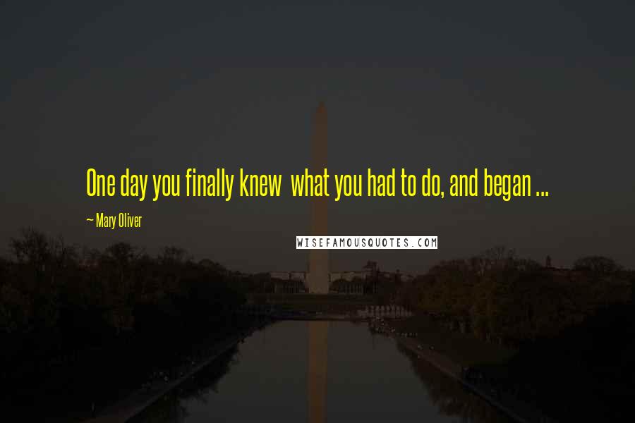 Mary Oliver Quotes: One day you finally knew what you had to do, and began ...