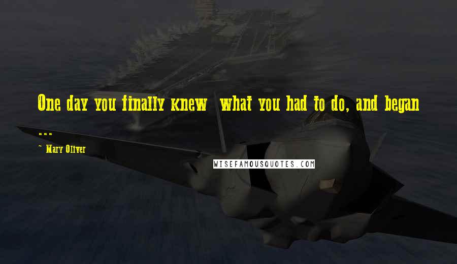 Mary Oliver Quotes: One day you finally knew what you had to do, and began ...