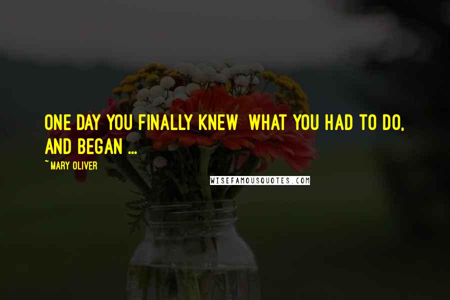Mary Oliver Quotes: One day you finally knew what you had to do, and began ...