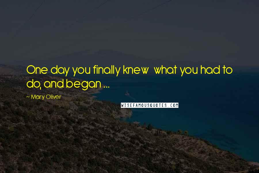 Mary Oliver Quotes: One day you finally knew what you had to do, and began ...