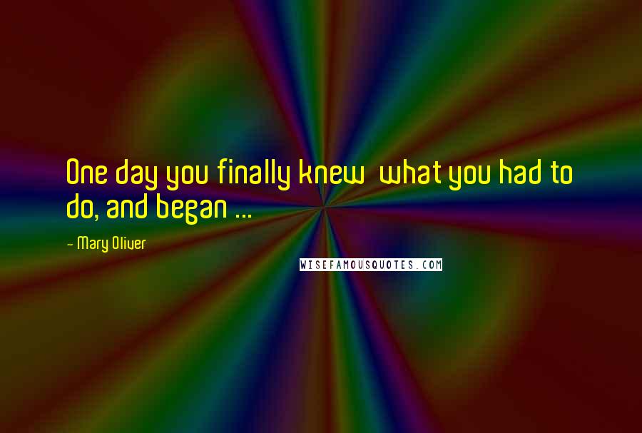 Mary Oliver Quotes: One day you finally knew what you had to do, and began ...