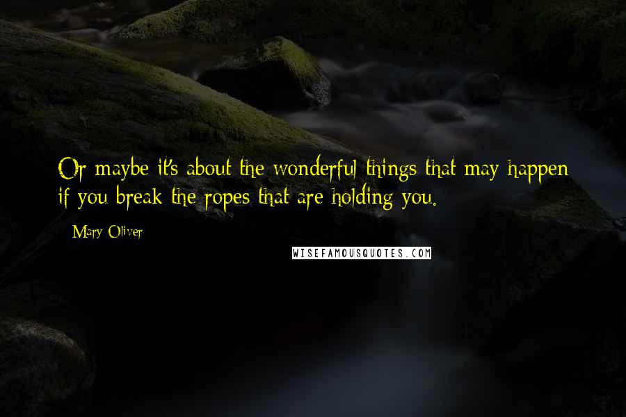 Mary Oliver Quotes: Or maybe it's about the wonderful things that may happen if you break the ropes that are holding you.