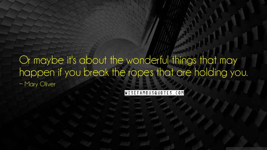 Mary Oliver Quotes: Or maybe it's about the wonderful things that may happen if you break the ropes that are holding you.