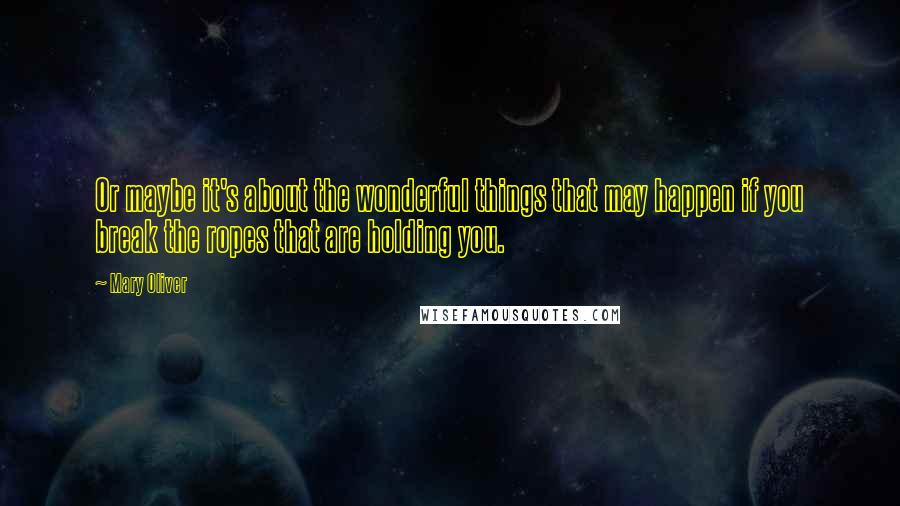 Mary Oliver Quotes: Or maybe it's about the wonderful things that may happen if you break the ropes that are holding you.