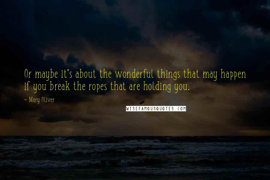 Mary Oliver Quotes: Or maybe it's about the wonderful things that may happen if you break the ropes that are holding you.