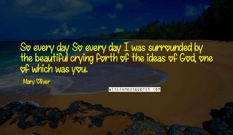 Mary Oliver Quotes: So every day So every day I was surrounded by the beautiful crying forth of the ideas of God, one of which was you.
