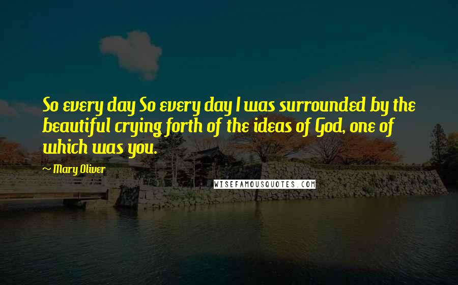 Mary Oliver Quotes: So every day So every day I was surrounded by the beautiful crying forth of the ideas of God, one of which was you.