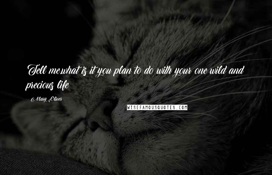 Mary Oliver Quotes: Tell me,what is it you plan to do with your one wild and precious life?