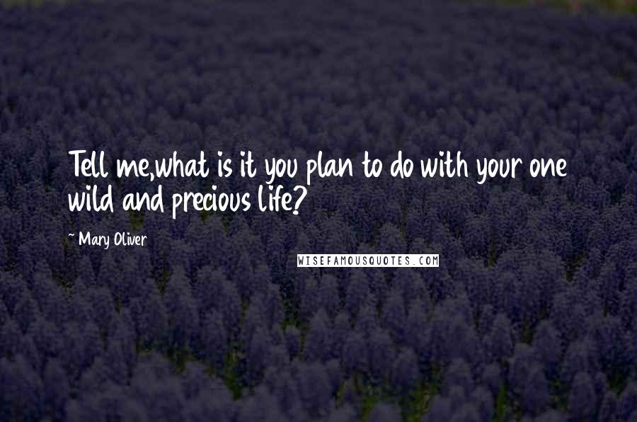 Mary Oliver Quotes: Tell me,what is it you plan to do with your one wild and precious life?