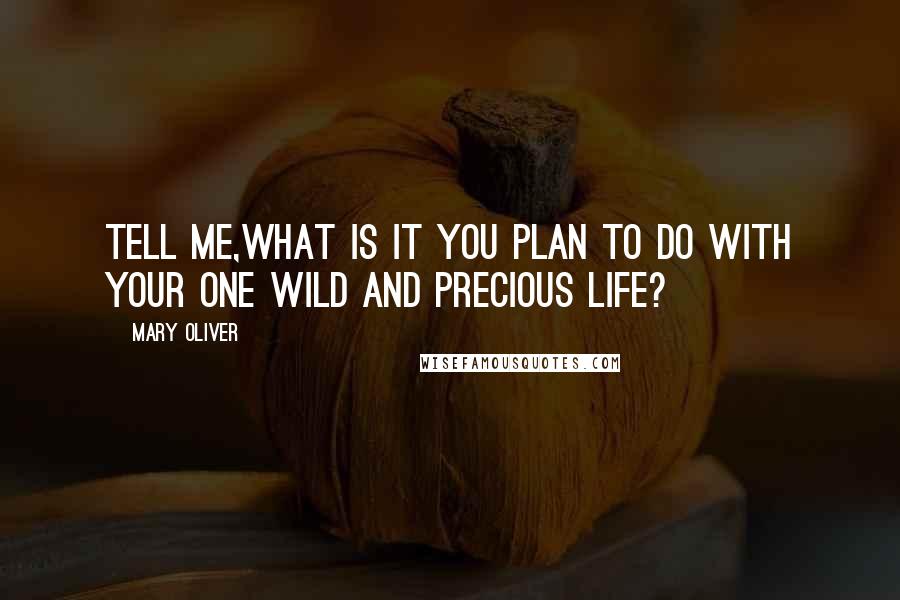 Mary Oliver Quotes: Tell me,what is it you plan to do with your one wild and precious life?