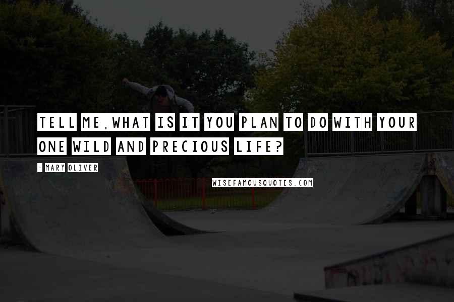 Mary Oliver Quotes: Tell me,what is it you plan to do with your one wild and precious life?