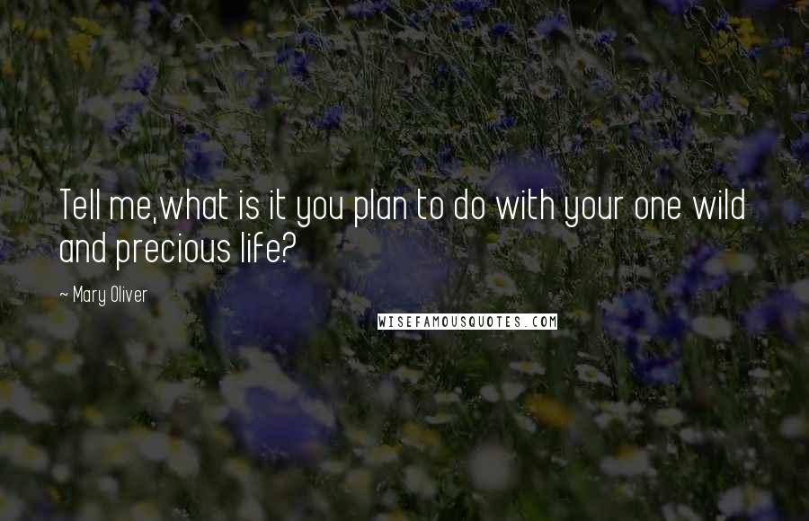 Mary Oliver Quotes: Tell me,what is it you plan to do with your one wild and precious life?