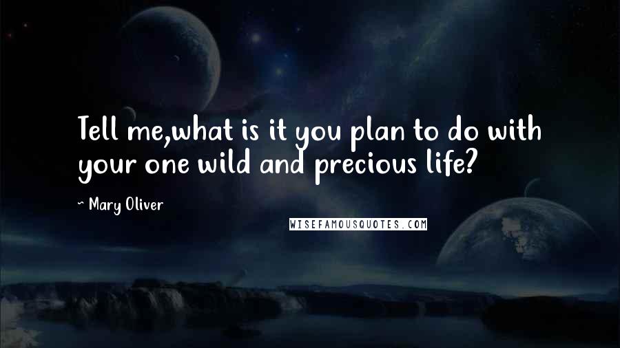 Mary Oliver Quotes: Tell me,what is it you plan to do with your one wild and precious life?