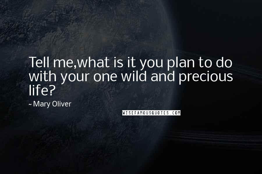 Mary Oliver Quotes: Tell me,what is it you plan to do with your one wild and precious life?