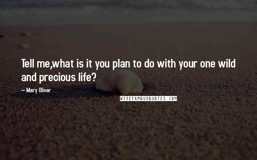 Mary Oliver Quotes: Tell me,what is it you plan to do with your one wild and precious life?