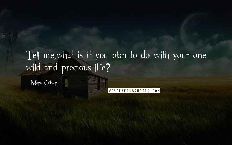 Mary Oliver Quotes: Tell me,what is it you plan to do with your one wild and precious life?
